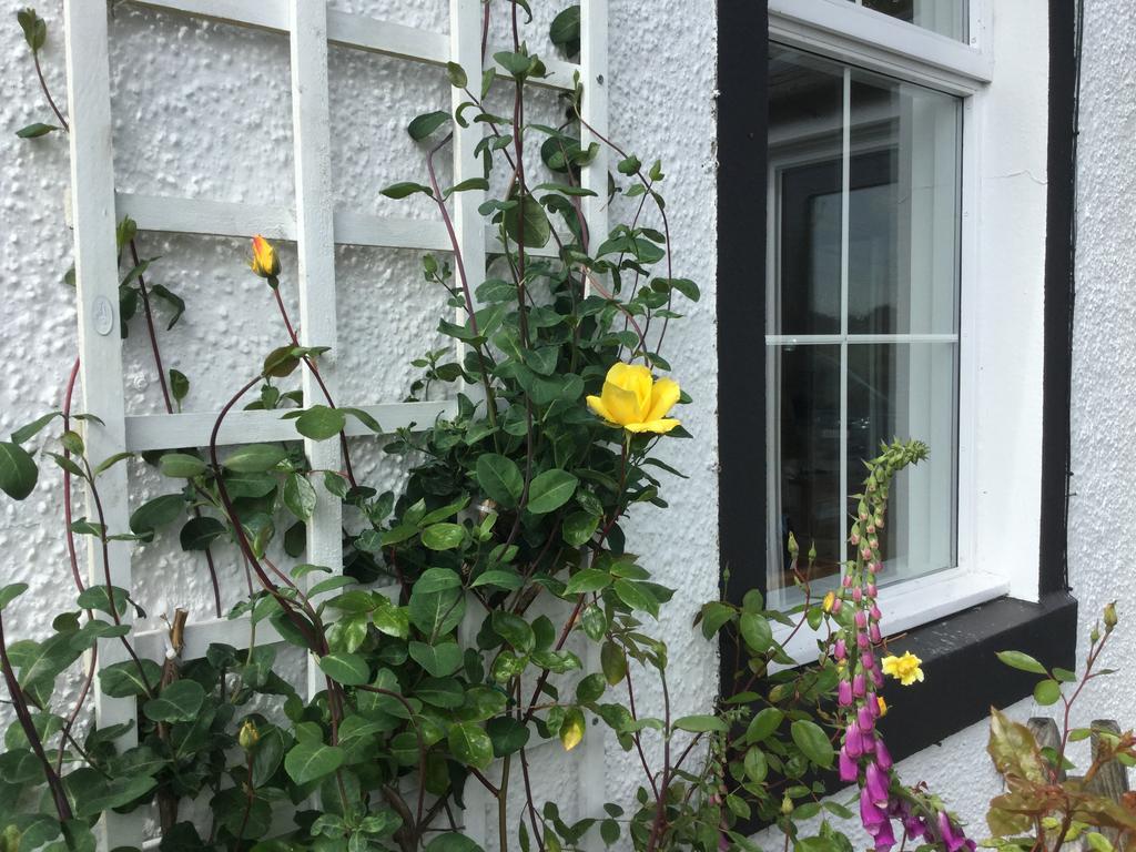 Kennels Cottage Stirling Buitenkant foto